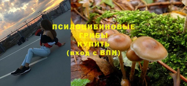 кокс Арсеньев