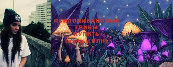 кокс Арсеньев