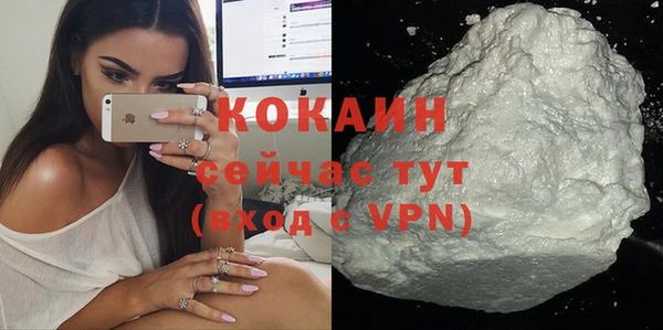 кокс Арсеньев